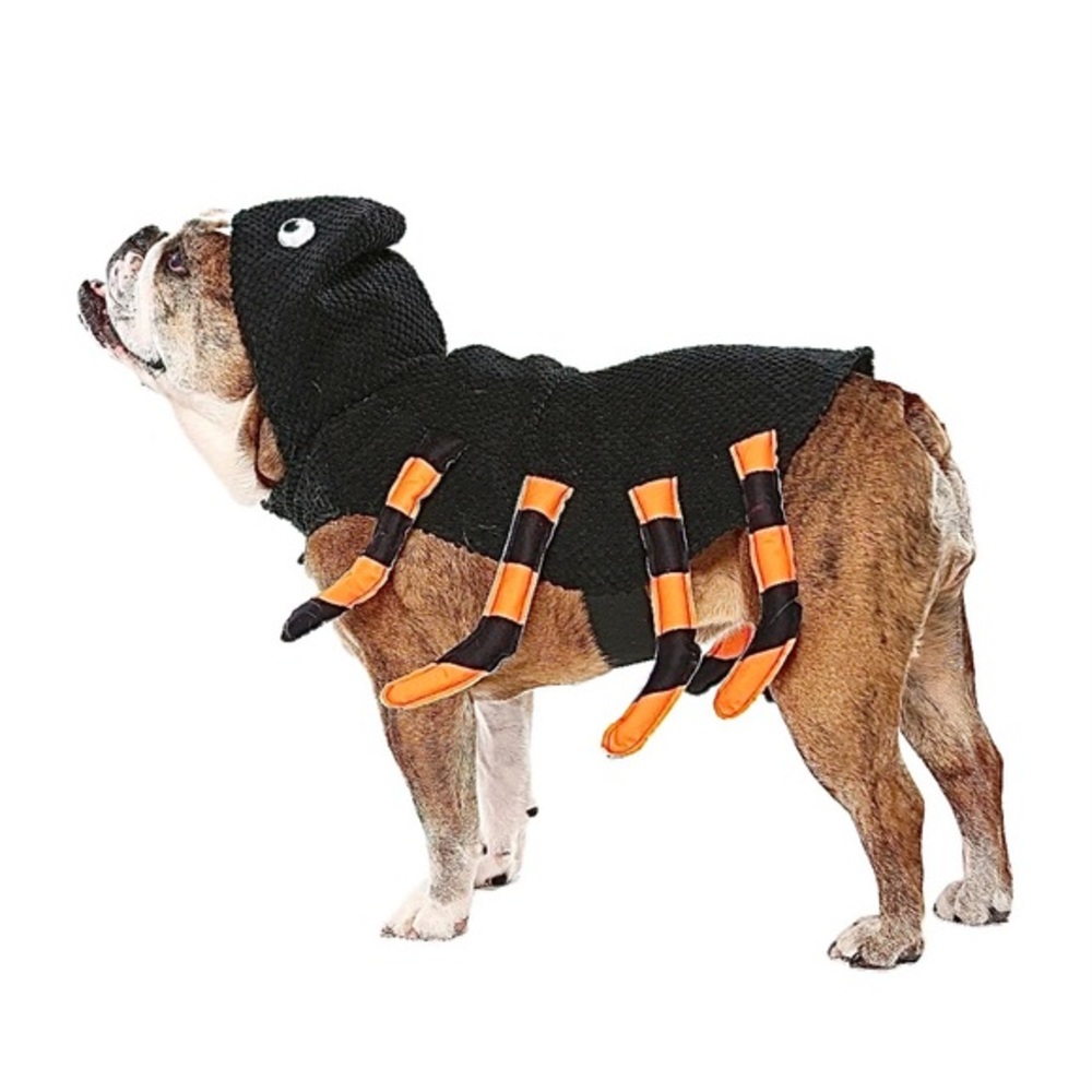 PET SPIDER COSTUME NWT